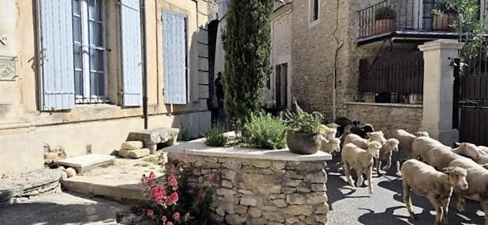 Chambres d'Hôtes Le relais des marmottes Lagnes Exterior foto
